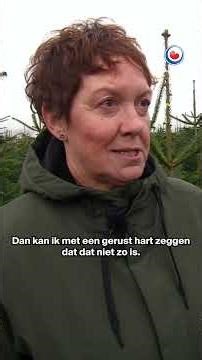 Een echte of neppe kerstboom?