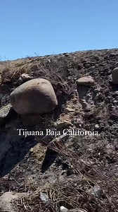600K views · 19K reactions | Pasando la central camionera, rumbo a Otay, excelente tarde compañeros!! Tijuana, Baja California, México. | JUAN Calderón MIS Fotografías | Facebook