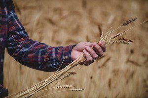 What is Regenerative Agriculture?