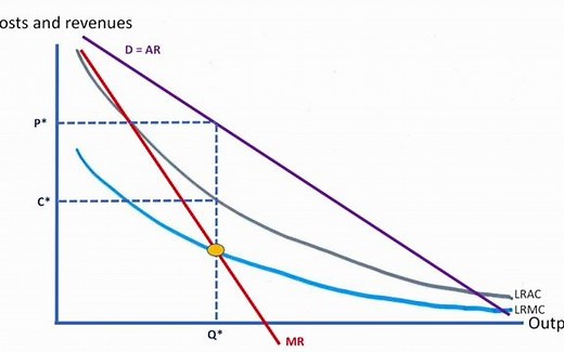 自然垄断：Natural monopoly