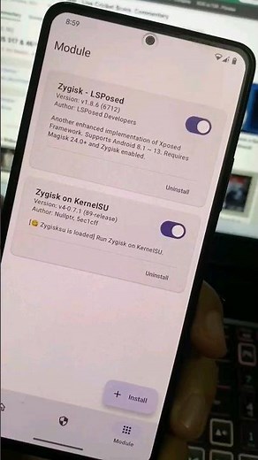 Enable Zygisk on KernelSU