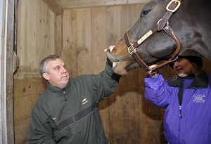 Equine Identification: Methods and New Technologies