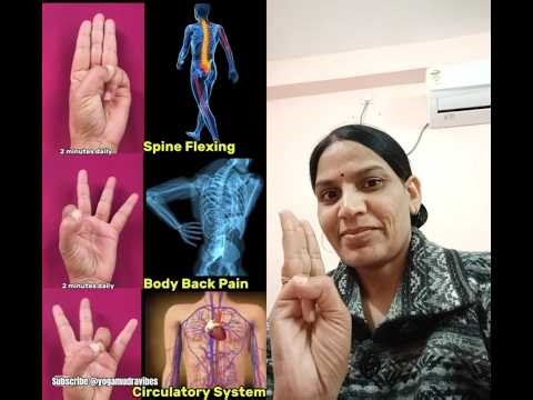 #Daily mudra#spine flexing#Body back pain#circulatory system#ytshorts#india#trending#ytyoga#🧘‍♀❤🧘‍♂