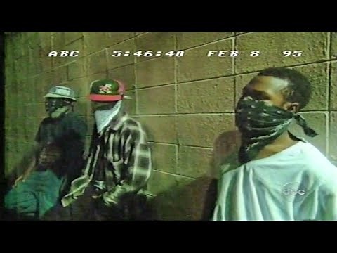 The Gangster Disciples ☆ 1995