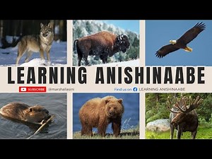 LEARNING ANISHINAABE: AWESIIYAG - ANIMALS