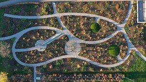 Understanding Tree Selection in the 21st Century