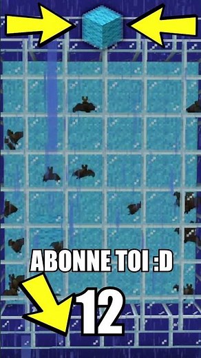 Trouve le bloc caché ! (Cache Cache Impossible) #shorts