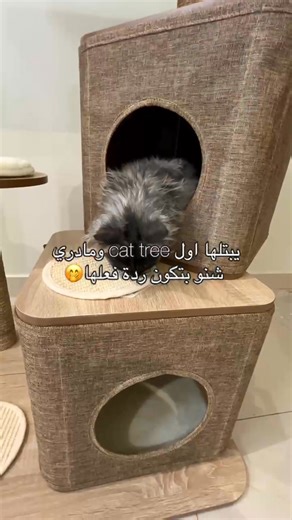 امنح أليفك عالمه الخاص من المرح والراحة | Pet Barn - Kuwait