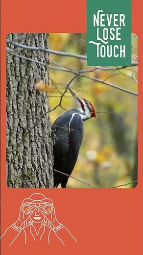 Missouri Department of Conservation - Never Lose Touch - Connect To Outdoors