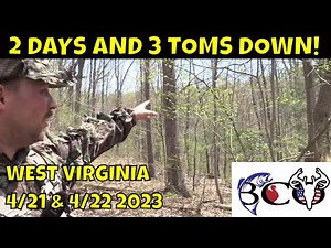 hunting west virginia spring turkey with viper ammunition 2 days.. 3 toms| bco hunts |