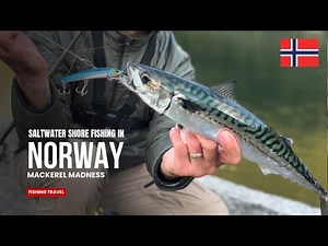Autumn Fishing in Norway 🇳🇴 | Wild Pollack, Mackerel & Saithe near Ålesund – North Sea Adventure!