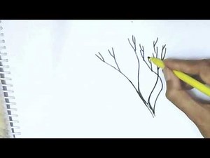 How to draw a leafless tree without leaves easy steps, step by step