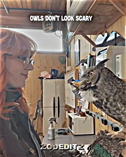 Owls Don’t Look Scary..#edit #phonk #trollface #animal