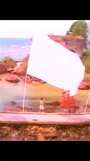 music indonesia 🇮🇩 Java Jive - Permataku #musicvideo #javajive #musicindonesia🇮🇩 #fyp #creatorsearchinsights