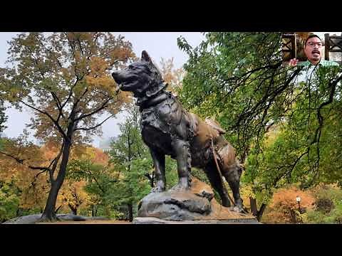Weekly Walk: Central Park's Playgrounds