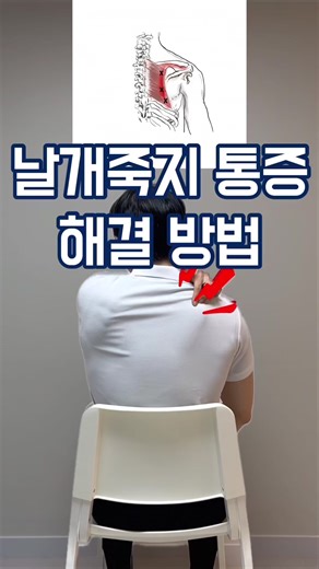 📍날개죽지 통증 날개죽지(능형근) 통증은 다양한 원인이 있지만, 날개뼈의 기능 이상 으로 나타날 수 있어요! 오늘 알려드리는 방법은 날개뼈 사이 공간을 확보하는 호흡을 통한 개선 방법이에요🫁 호흡은 느리고, 길게🙌🏻 #날개죽지통증 #어깨통증 #날개뼈통증 #담