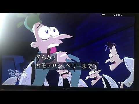 世にも珍しいカモノハシペリーの声!?