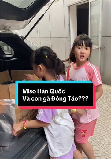 Khám Phá Gà Đông Tảo: Đặc Sản Nổi Tiếng Việt Nam