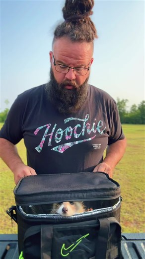 La dulzura de Shawn, el mapache bebé