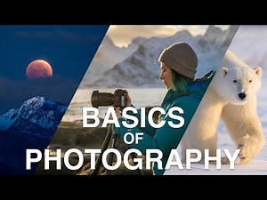 MASTER YOUR CAMERA in 10 Minutes. Settings, Dials, and Functions.