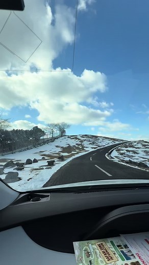 大分県アフリカンサファリパークの魅力