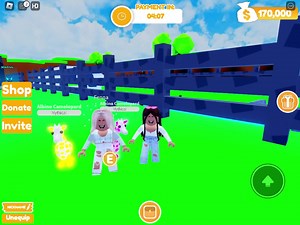 Adopt me custom pets op TikTok