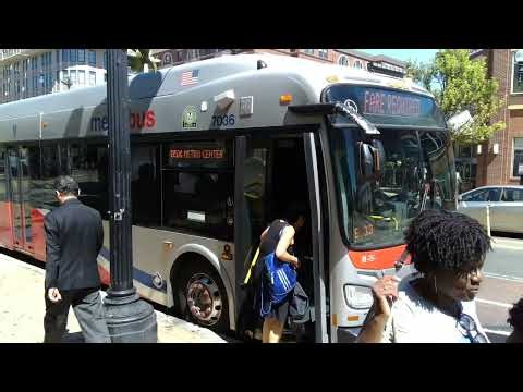 Close up View: WMATA Metrobus 2011 New Flyer XDE40 Bus #7036 on Route D5X to Metro Center