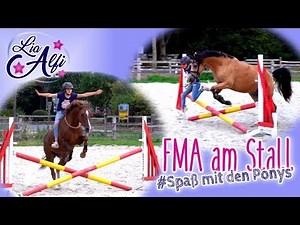 Lia & Alfi - FMA am Stall - Halsring-Reiten