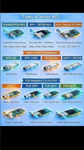 Types of Server NICs Explained | SFP, SFP+, QSFP, Fibre Channel & FLR Adapters | Networking Basics