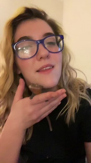 Crested Gecko Chirping: A Wholesome Sound