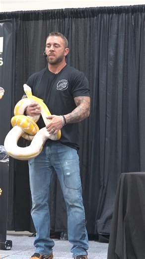 The next time you hear someone say they have or know an aggressive snake… | Wildfire Retics