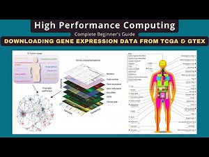 Download Gene Expression Data From TCGA and GTEx Using R
