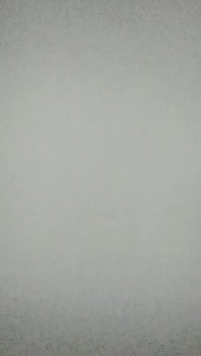 86dujfyfkyfjyfiyfuo (@erin.kittens)’s videos with #WIPEITDOWN - BMW KENNY