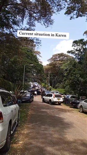Current situation at Raila Odinga homestead in Karen #karen #akotokevin #railaodinga #trendingnow #fbviralreels #viralreels #voiceover #reels #nairobi #followme #nairobikenya #fbreel | Sagara Kelvin