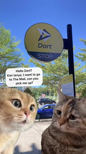 Dart Brunei on TikTok