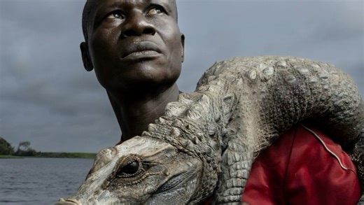 Thomas Nicolon《刚果侏儒鳄》#摄影