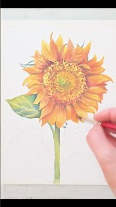 Watercolor Painting - How to Paint a Sunflower #loose #sketch #dailyart