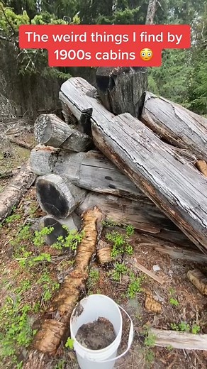 My favorite from metal detectors #metaldetector #gold #findings | Metal Detecting