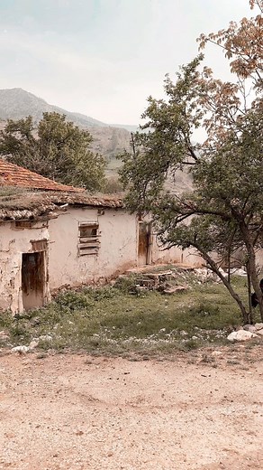 Serde demekle ne demek istemiş üstad ? . . . . #sevdagitmiyorserde #köy #türkü #neşetertaş #reelsinstagram #fyp | Doğadan türküler