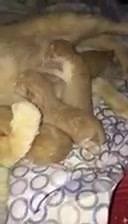 16 reactions · 11 shares | Good morning & happy birthday to our...