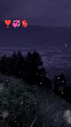 abdul moiz (@abdul.moiz2911)’s videos with original sound - abdul moiz