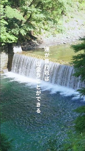 神奈川県の秘境ユーシン渓谷で自然を感じる！