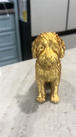 #creality#creality3d#3dprinting#3d#goldendoodle @Creality official