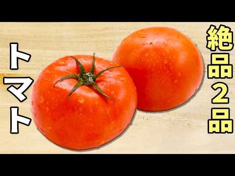 トマトの簡単レシピ2品 作り置きも出来る！冷たくて美味しい副菜の作り方 サラダ・和え物レシピを紹介