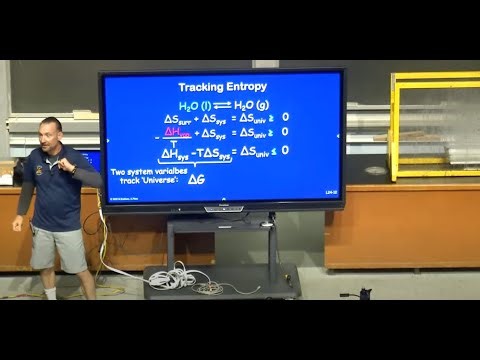 Lecture 8 Thermodynamics, Entropy, and Gibbs Free Energy