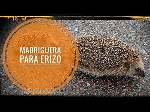 Cómo hacer una 👍 MADRIGUERA para erizo || fauna auxiliar en el huerto 🌱 || Refugio para ERIZO🦔