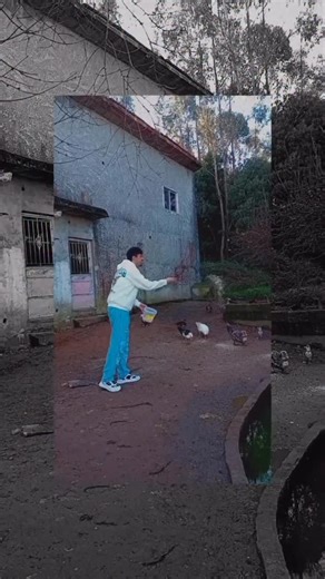 Leandro já voltou para junto dos seus animais após a expulsão da Casa dos Segredos #tvguia #leandro #casadossegredos | Revista TV GUIA