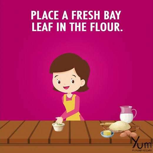 How to Get Rid of Weevils (Flour Bugs)