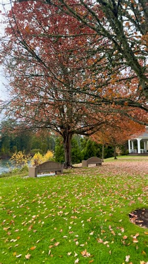 🔥 Ultimate egg cure is back in stock. Just in time for curing eggs for up river fall chinook! This egg cure is deadly. 👍 | Elevated Tackle