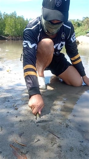 The fish washed up on the side so I just pick it up #fishingtrip #fishing | Master JP Adventure | Facebook